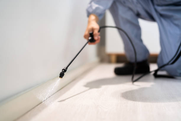 Certified termite inspector examining foundation in Danville